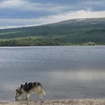 Hodalen Fjellstue בקתה